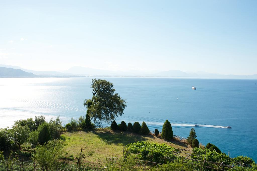 Sopra Il Limoneto Farm stay Cetara