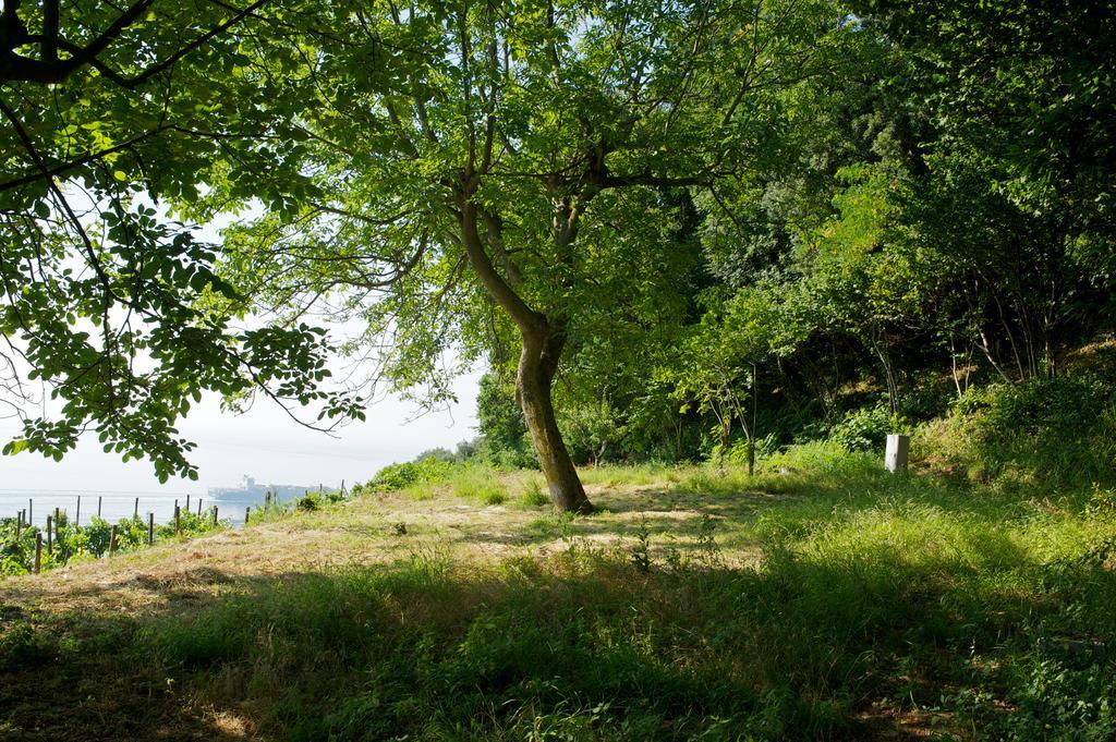 Sopra Il Limoneto Farm stay *