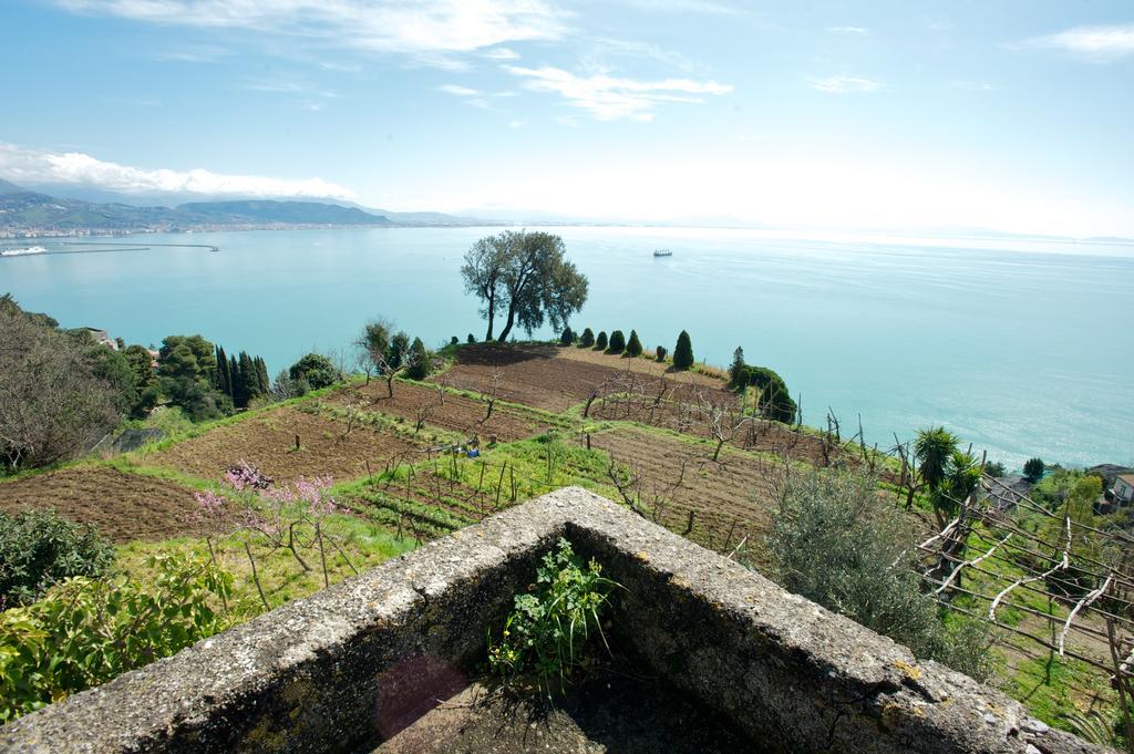 Sopra Il Limoneto