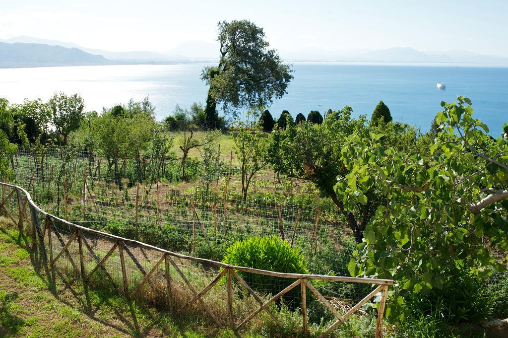 Farm stay Sopra Il Limoneto