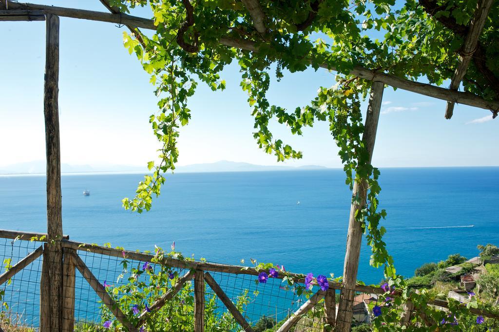 Farm stay Sopra Il Limoneto